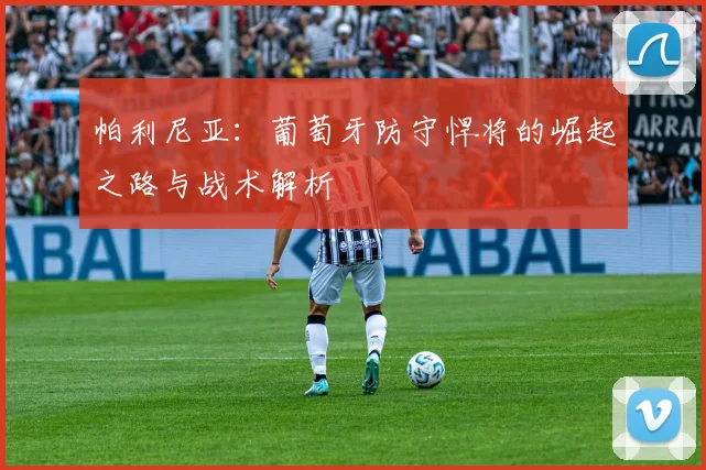 帕利尼亚:葡萄牙防守悍将的崛起之路与战术解析