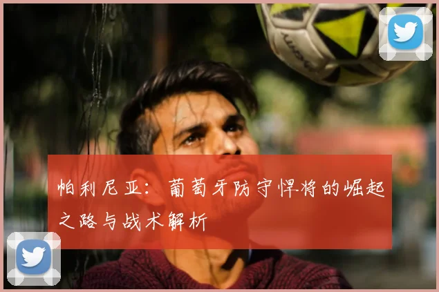 帕利尼亚：葡萄牙防守悍将的崛起之路与战术解析